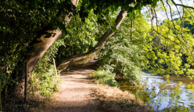 The Riverside Trail in Berkshire That Is Officially The Best Scenic Walk Near London