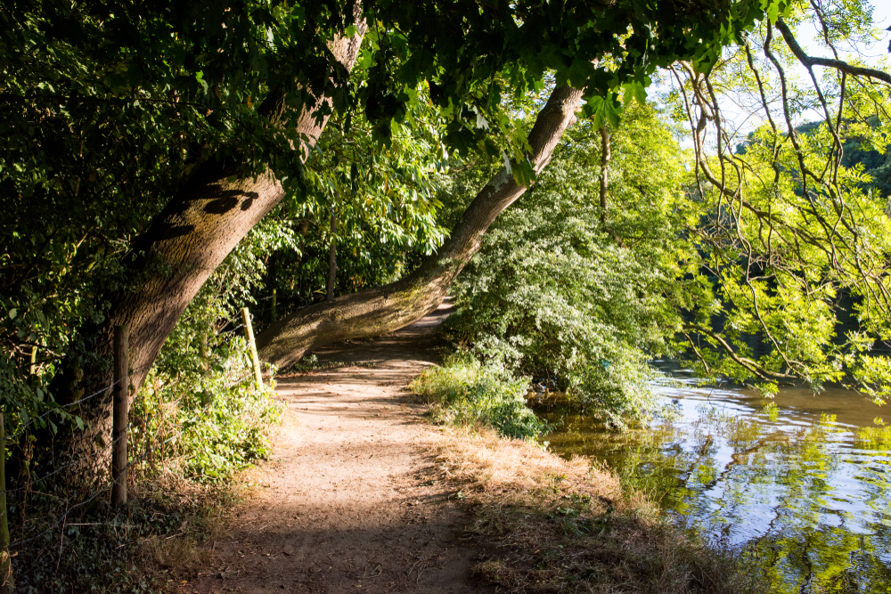 The Riverside Trail in Berkshire That Is Officially The Best Scenic Walk Near London