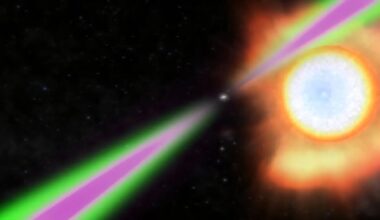 New catalog compiles more than 100 'spider' pulsars that consume stellar partners