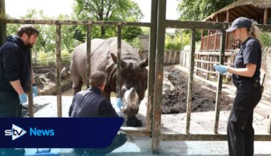 Edinburgh Zoo says ability to save endangered species 'hampered' by Brexit
