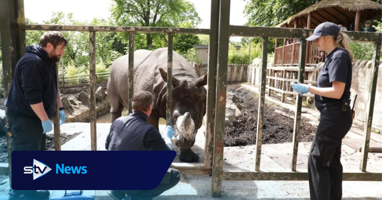 Edinburgh Zoo says ability to save endangered species 'hampered' by Brexit