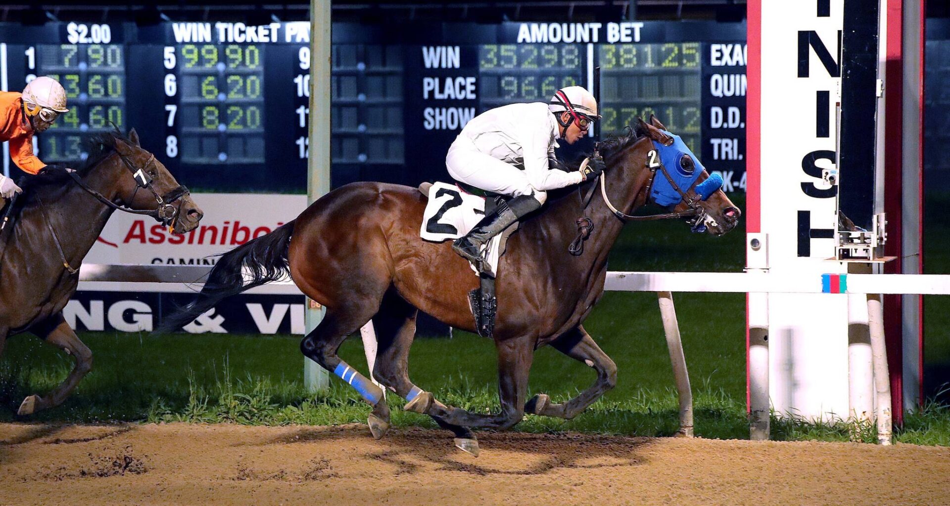 Savvy wagering pays off – Winnipeg Free Press