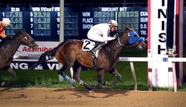 Savvy wagering pays off – Winnipeg Free Press