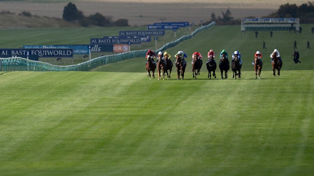 Another dry day is set in Newmarket