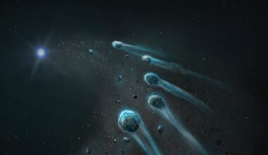 Icy planetesimal with high nitrogen and water content discovered in white dwarf's atmosphere