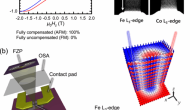 Observation of a non-reciprocal skyrmion Hall effect of hybrid chiral skyrmion tubes in synthetic antiferromagnetic multilayers