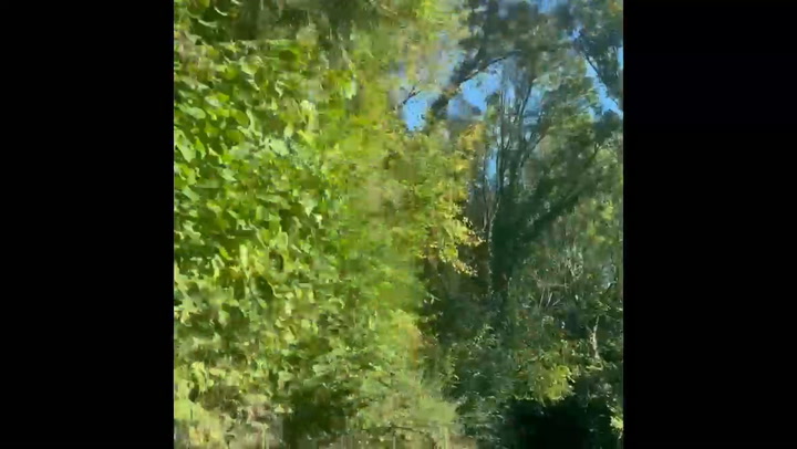 videoHeadline