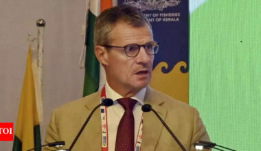 Last round a missed opportunity, need to engage in earnest for FTA by year-end: EU envoy | India News
