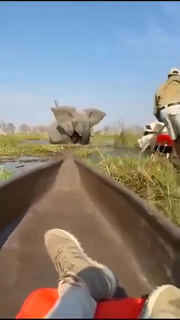 Canoe 