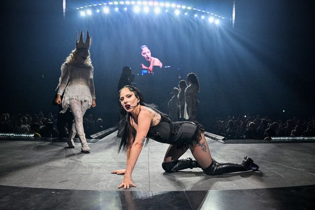 Lady Gaga crawl this way