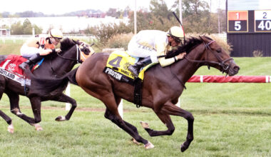 Download app from appStore