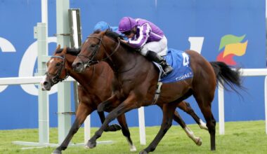 Delacroix takes on seven in his Irish Champion Stakes quest