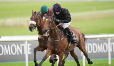 One Look snapped up by Wathnan Racing