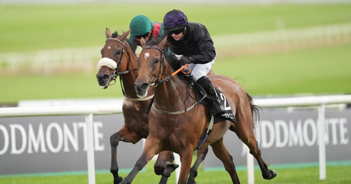 One Look snapped up by Wathnan Racing