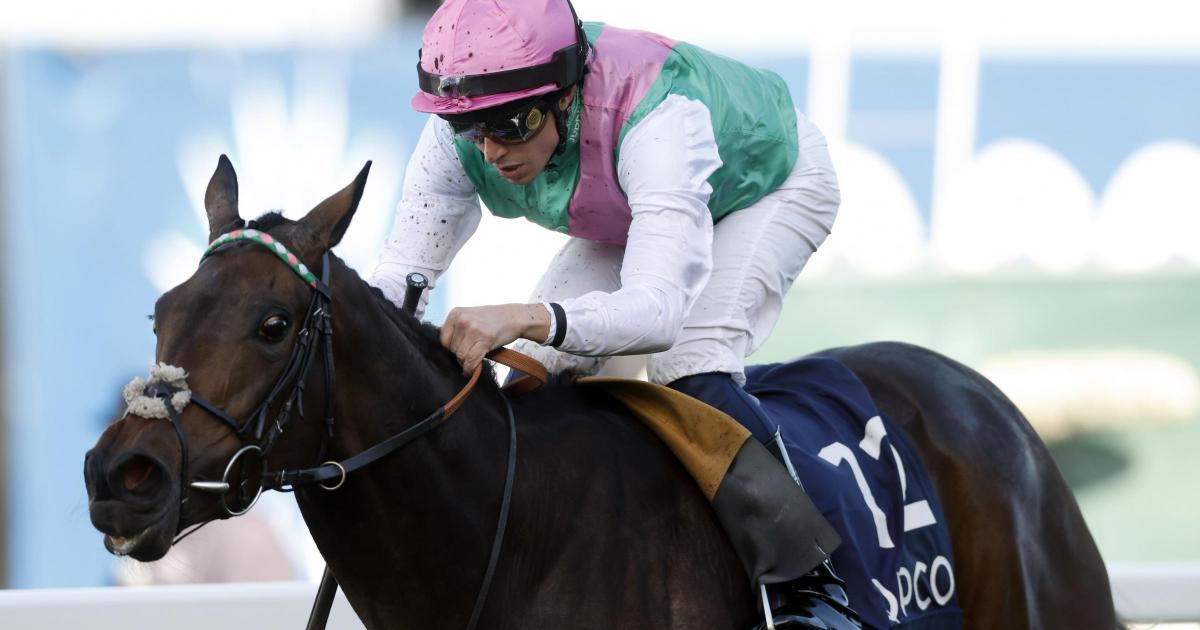 Kalpana out for repeat success in September Stakes