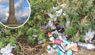 Fly-tipped waste dumped at Dorset beauty spot