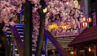 Glasgow restaurant Mikaku up for sale as closure announced
