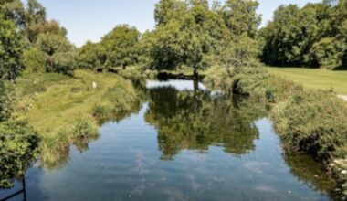 Alarming levels of microparticle pollution in Itchen River