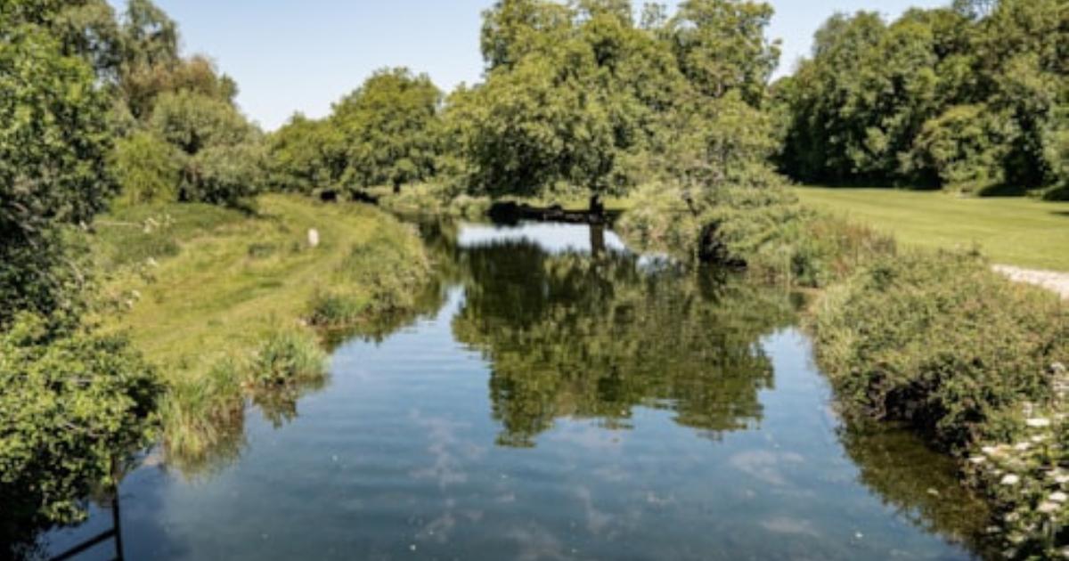 Alarming levels of microparticle pollution in Itchen River