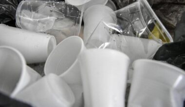 Darlington plea to cut single-use plastic and reduce waste