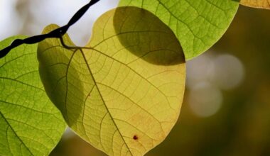 Suffolk set to approve new Local Nature Recovery Strategy