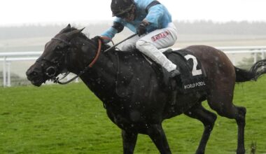 William Haggas ‘gutted’ as setback scuppers Merchant’s Arc hopes