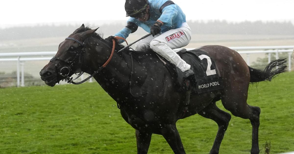 William Haggas ‘gutted’ as setback scuppers Merchant’s Arc hopes