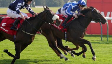 Sky Majesty the Haydock hope for William Haggas in Saturday’s Sprint Cup