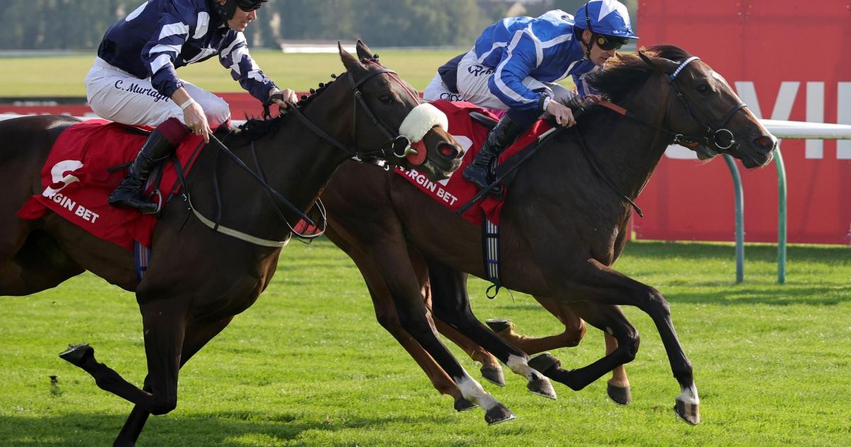 Sky Majesty the Haydock hope for William Haggas in Saturday’s Sprint Cup