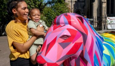 Your final chance to see all the GoGoSafari sculptures