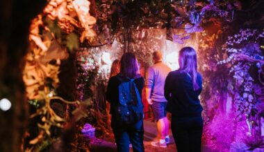 Backyard Cinema London Bridge: Festive winter wonderland