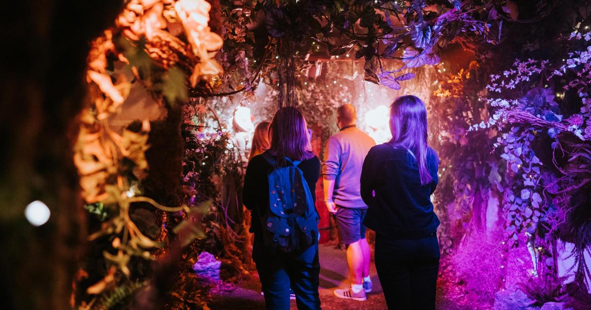 Backyard Cinema London Bridge: Festive winter wonderland