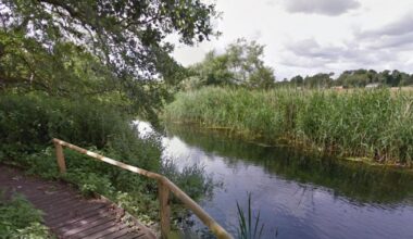 Canoeist taken to hospital after being injured near Thetford