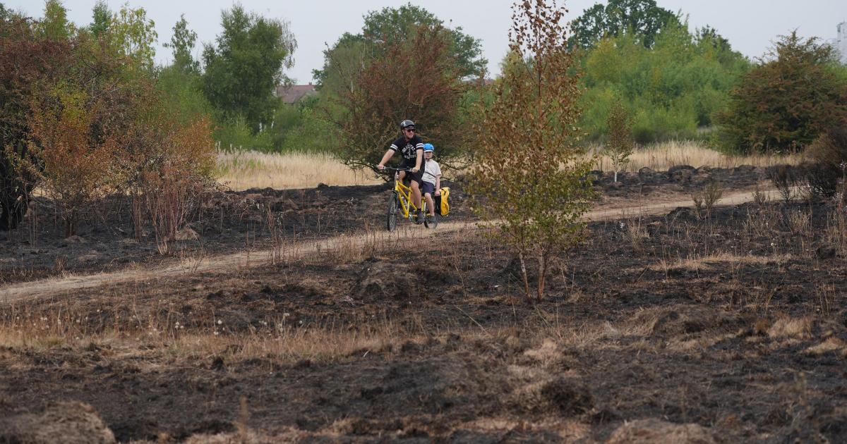 Anne Clarke on the London Fire Brigade's preparation for hot summers