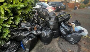 Basildon recycling down since weekly black bag collection