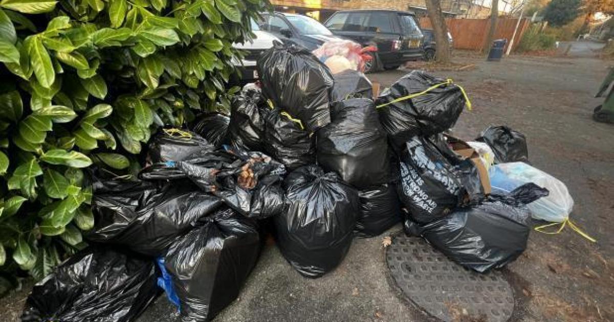Basildon recycling down since weekly black bag collection