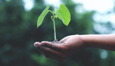 Residents asked to share views on West Midlands nature plan