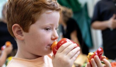 London Vegetable Orchestra performs at Islington Grow Show