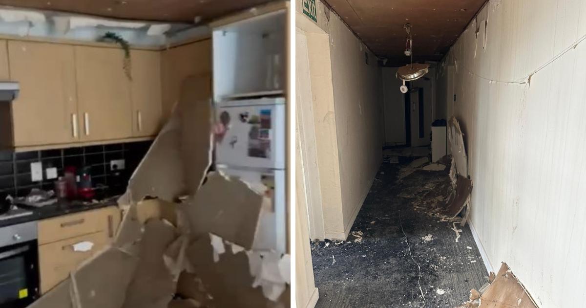 New Cross rental house fire leaves student homeless