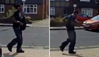 Eastcote, Hillingdon: Footage appeal after sexual assaults