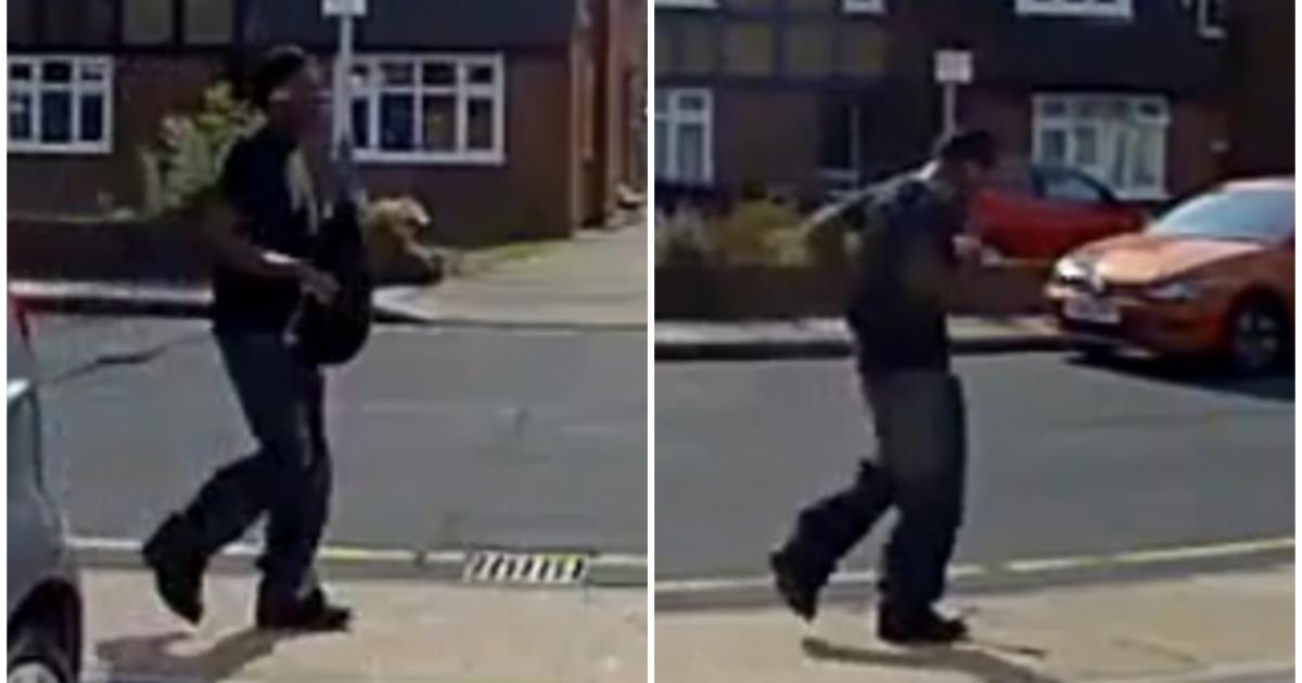 Eastcote, Hillingdon: Footage appeal after sexual assaults