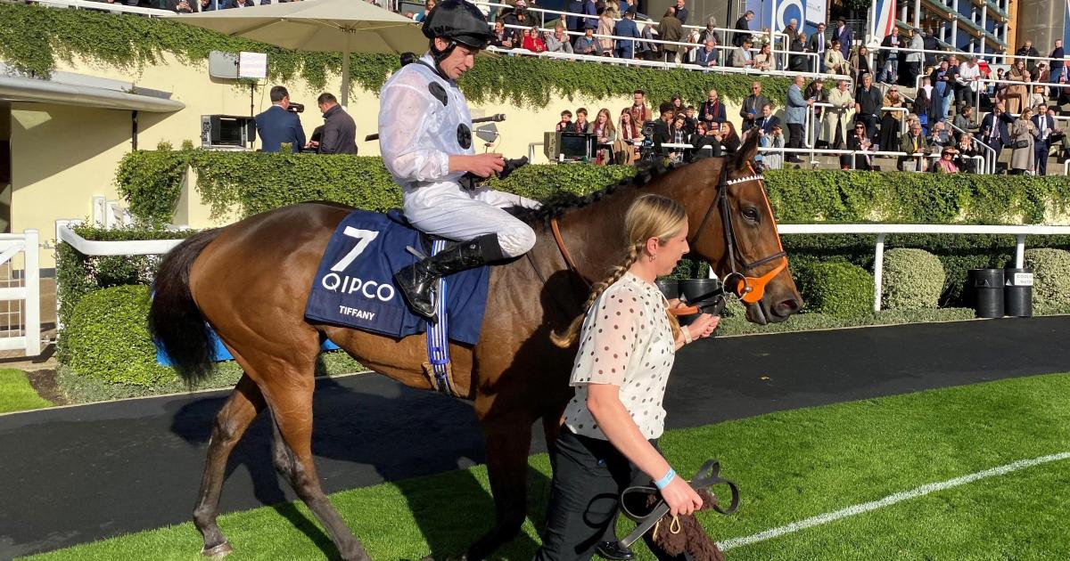 Sir Mark Prescott taking familiar German route with Tiffany