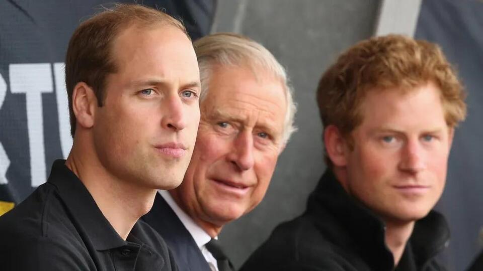 Prince William ‘Frustrated’ by Prince Harry’s Attempt to Return to Royal Family amid King Charles’ Illness