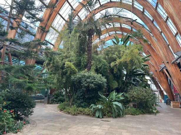 The indoor Winter Gardens feature some 2,500 plants and trees