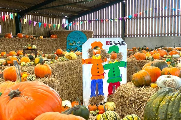 Pye Ash Farm near Macclesfield