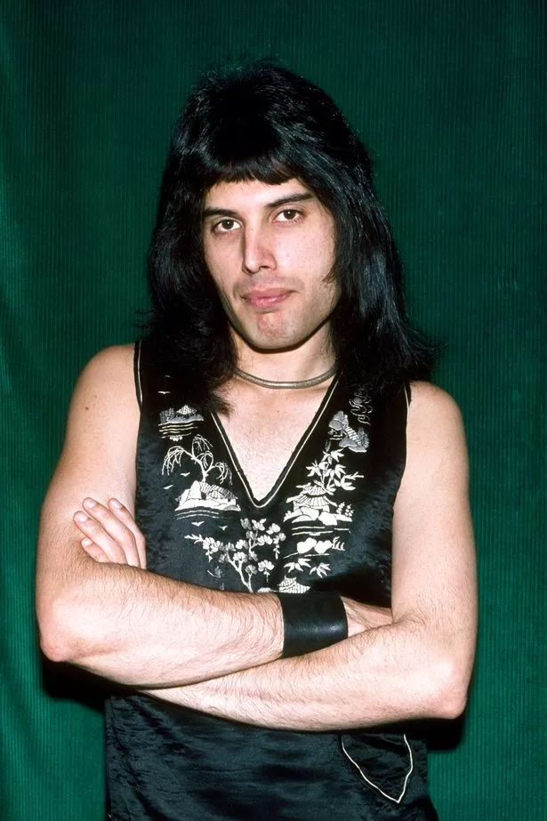 Portrait of Freddie Mercury