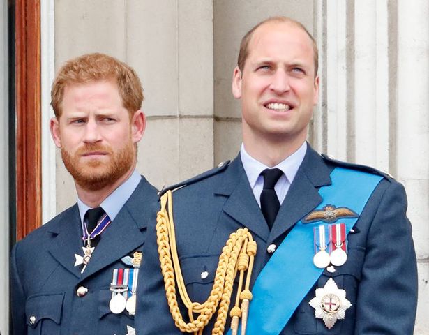 Prince Harry's big moment is coming up, an audience with the King, but his brother will not be there to support him, it's being reported 