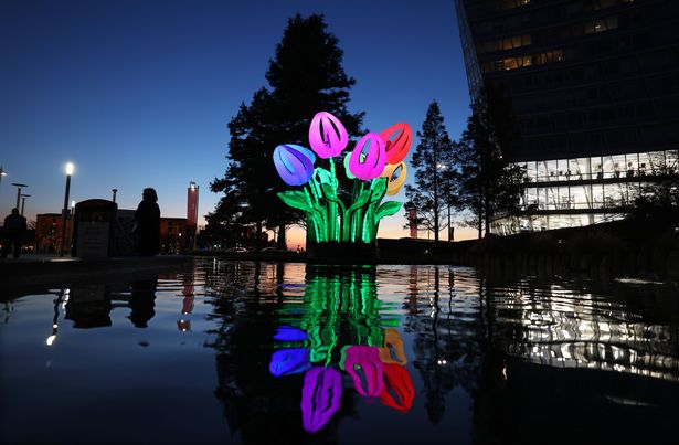 Bunch of Tulips - Liverpool ONE
