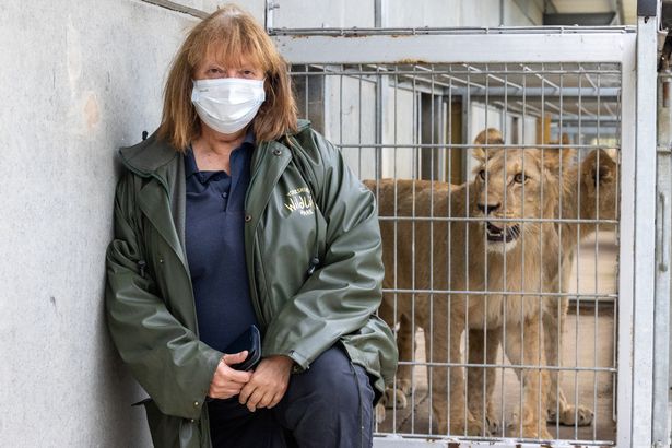 Cheryl Williams, co founder of The Yorkshire Wildlife Park, with the new arrivals