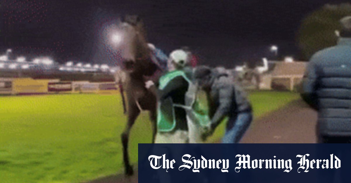 Micheal Hellyer incredibly lucky after Toowoomba incident